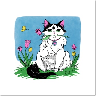 Kitty with Tulips (Don't give tulips to cats, it's poisonous) Posters and Art